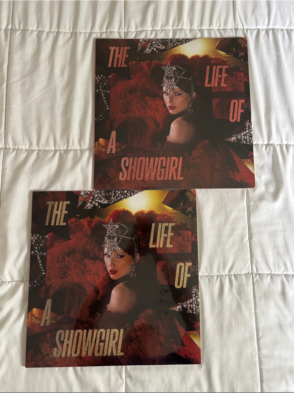 Taylor Swift Vinyl Records